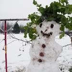 Veggie Snowman